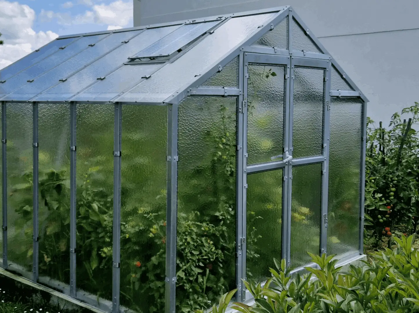 A greenhouse with plants growing in it.
