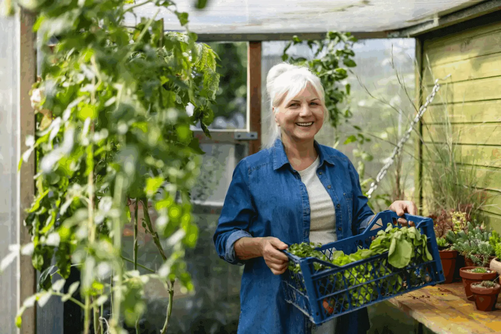 A woman holding a basket of vegetables in her garden.