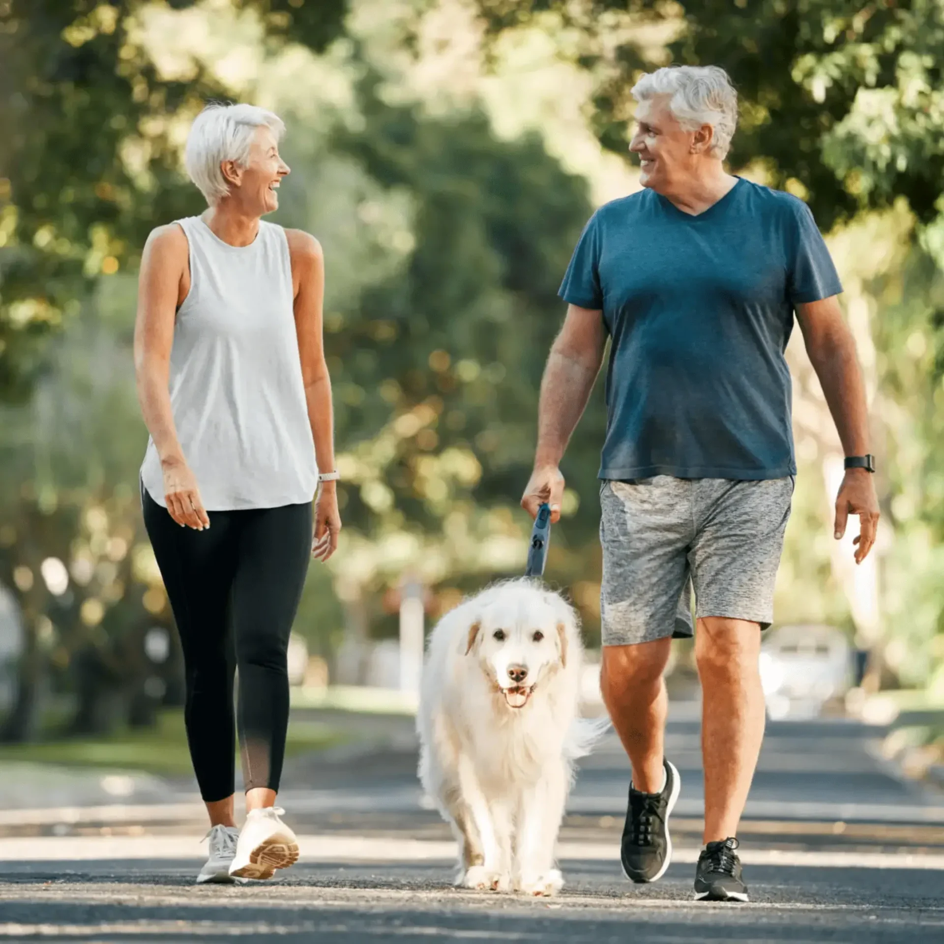 A man and woman walking their dog on the street.